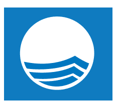 blueFlag logo