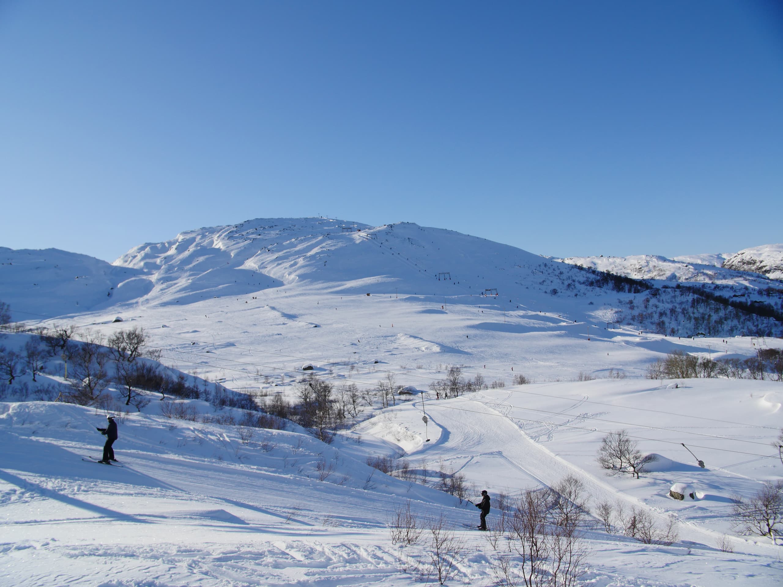 Stavtjørn Alpin